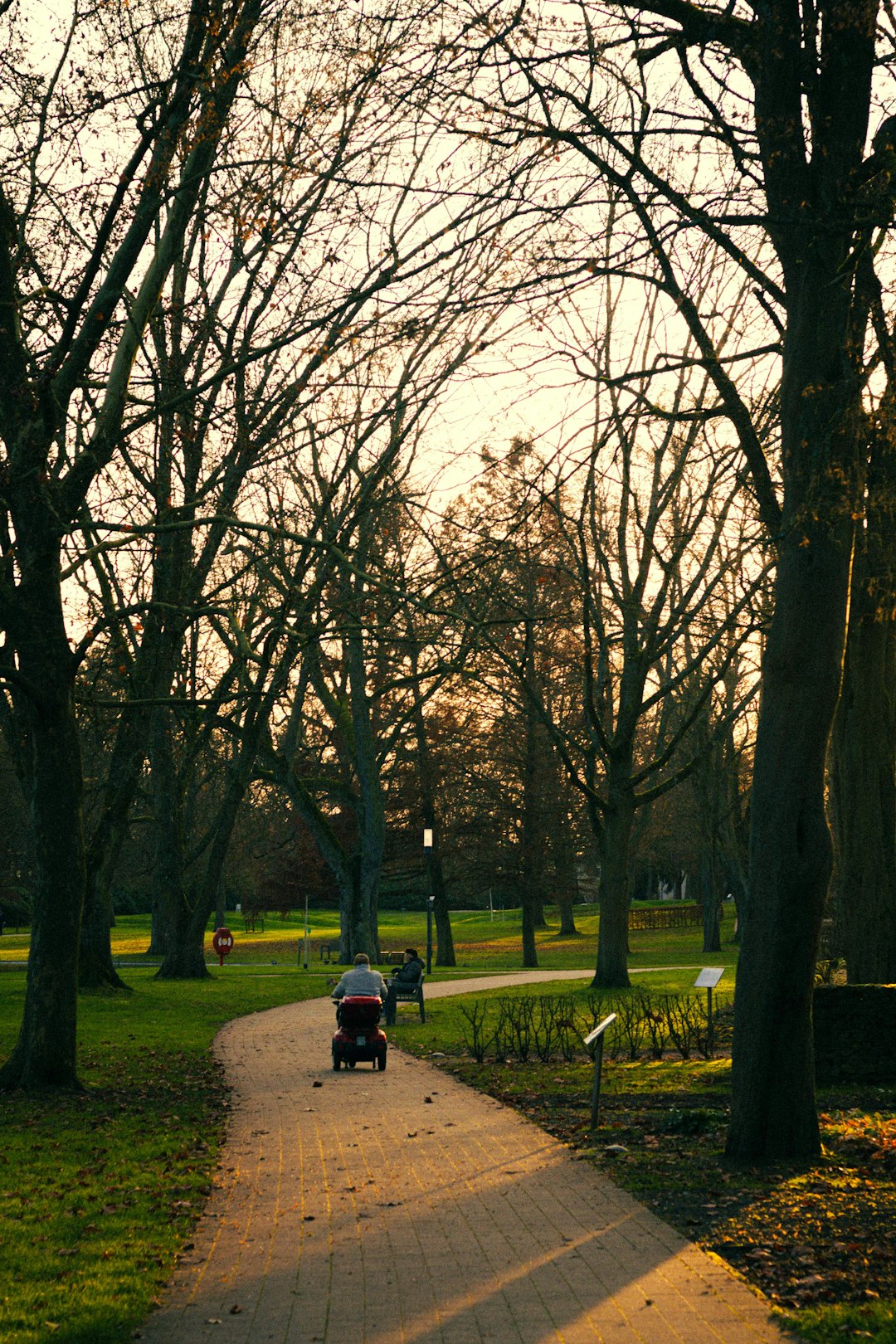 Consejos para envejecer